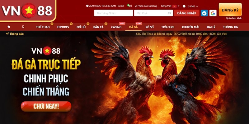 Đá gà trực tuyến là một trong những trò chơi thú vị và rất hấp dẫn